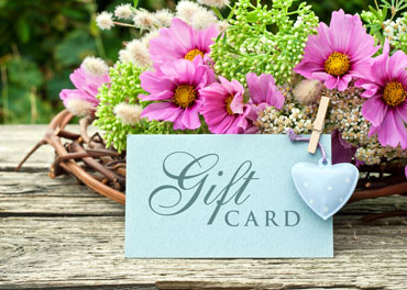 Gift & Cards